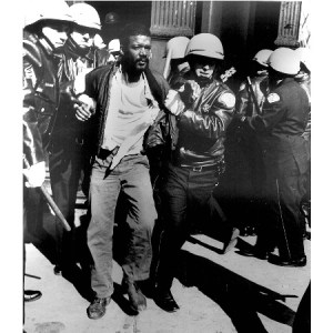 Stonewall Riot small